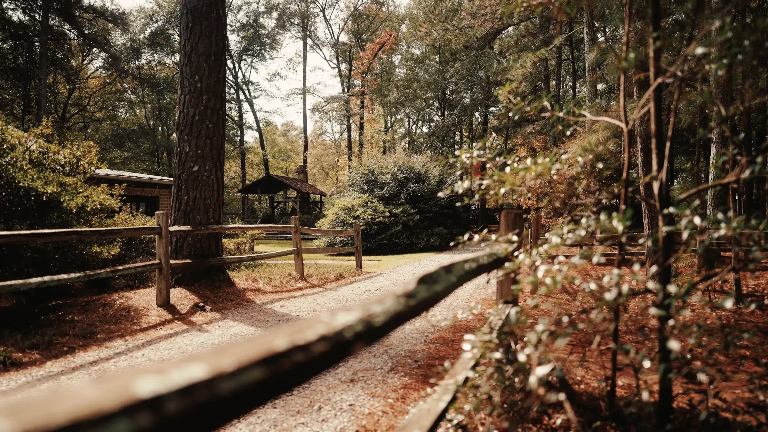 Still from Brittany and Ryan’s countryside wedding film