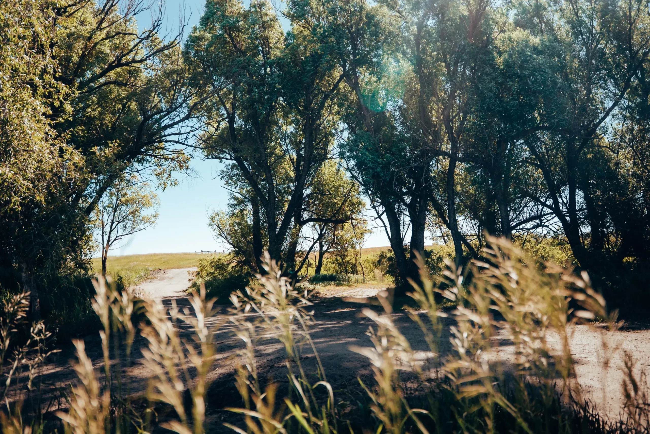 Still from Jeff and Emma’s mountain wedding film